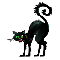 Dreimal schwarzer Kater