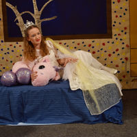 Herr Sumsemann fliegt zum Mond - Foto