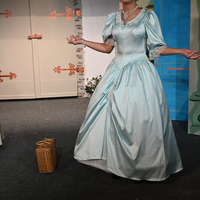 Cinderella und der grüne Schuh - Foto