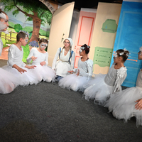 Cinderella und der grüne Schuh - Foto
